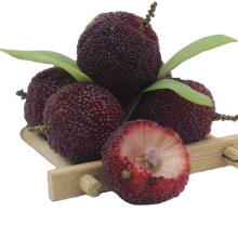 Chinese Fresh Chinese Yang Mei Fruit Arbutus Red Waxberry Juicy Red Bayberry